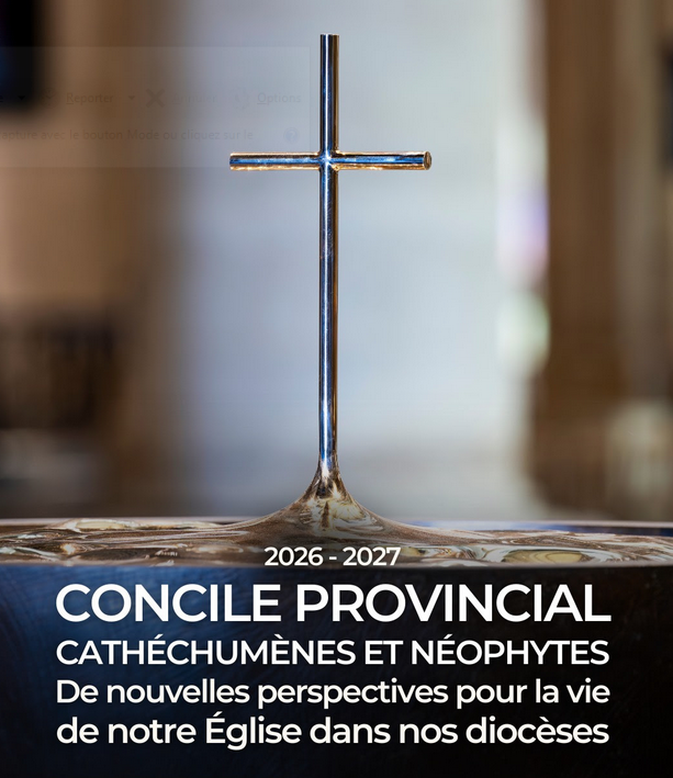 Concile provincial